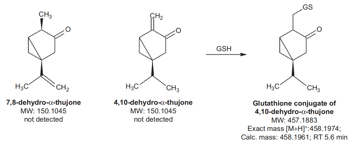 香精與香料(48)—側柏酮(Thujone)與側柏