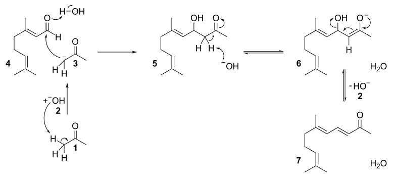 香精與香料(54)—紫羅蘭酮(ionone)