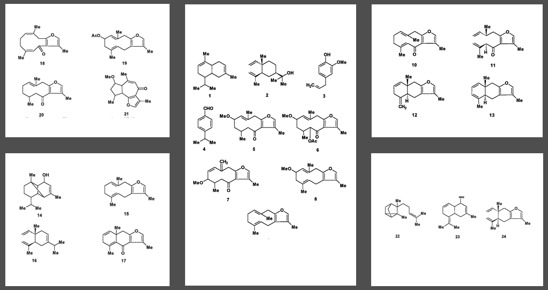 香精與香料(84)—沒藥香