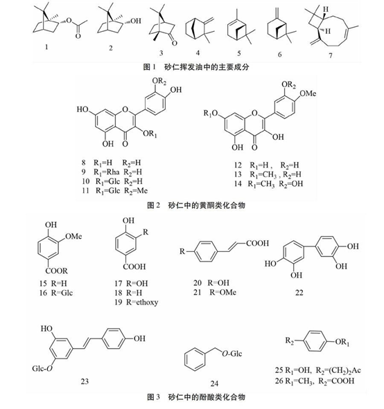 香精與香料(88)—砂仁