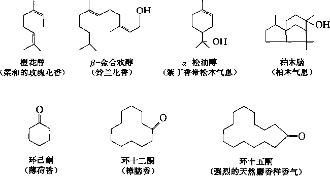 香水的香氣從何而來？