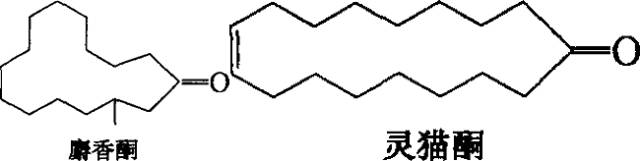 香水的香氣從何而來？