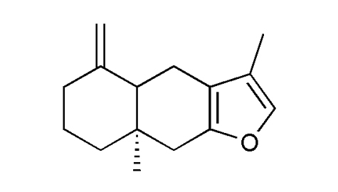 香精與香料(140)—白術