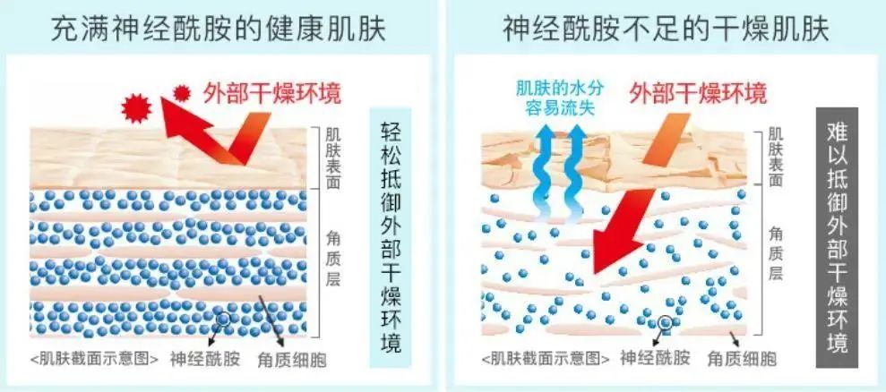 2022年護(hù)膚熱門功效成分有哪些？